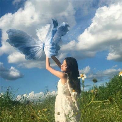 蒂科与鲨鱼