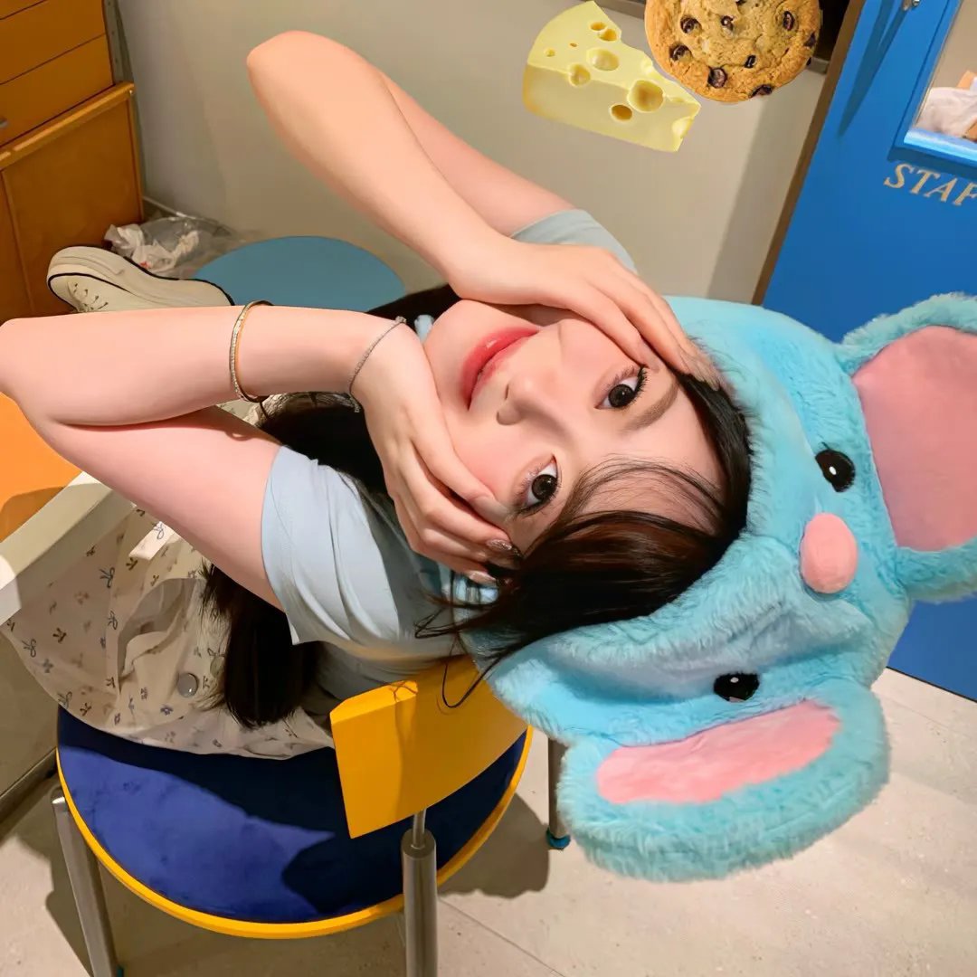 蠢狗记