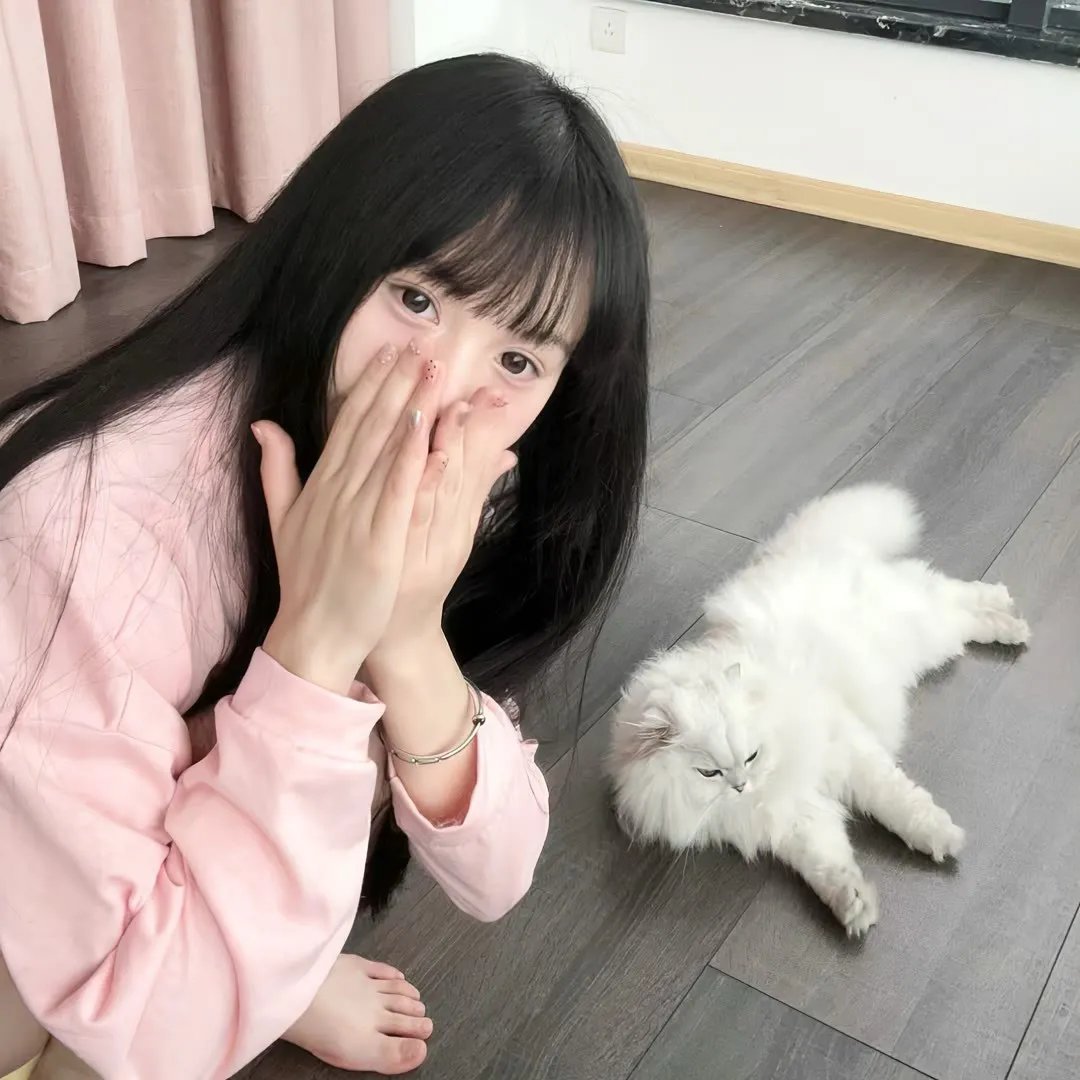 抢救德梅洛